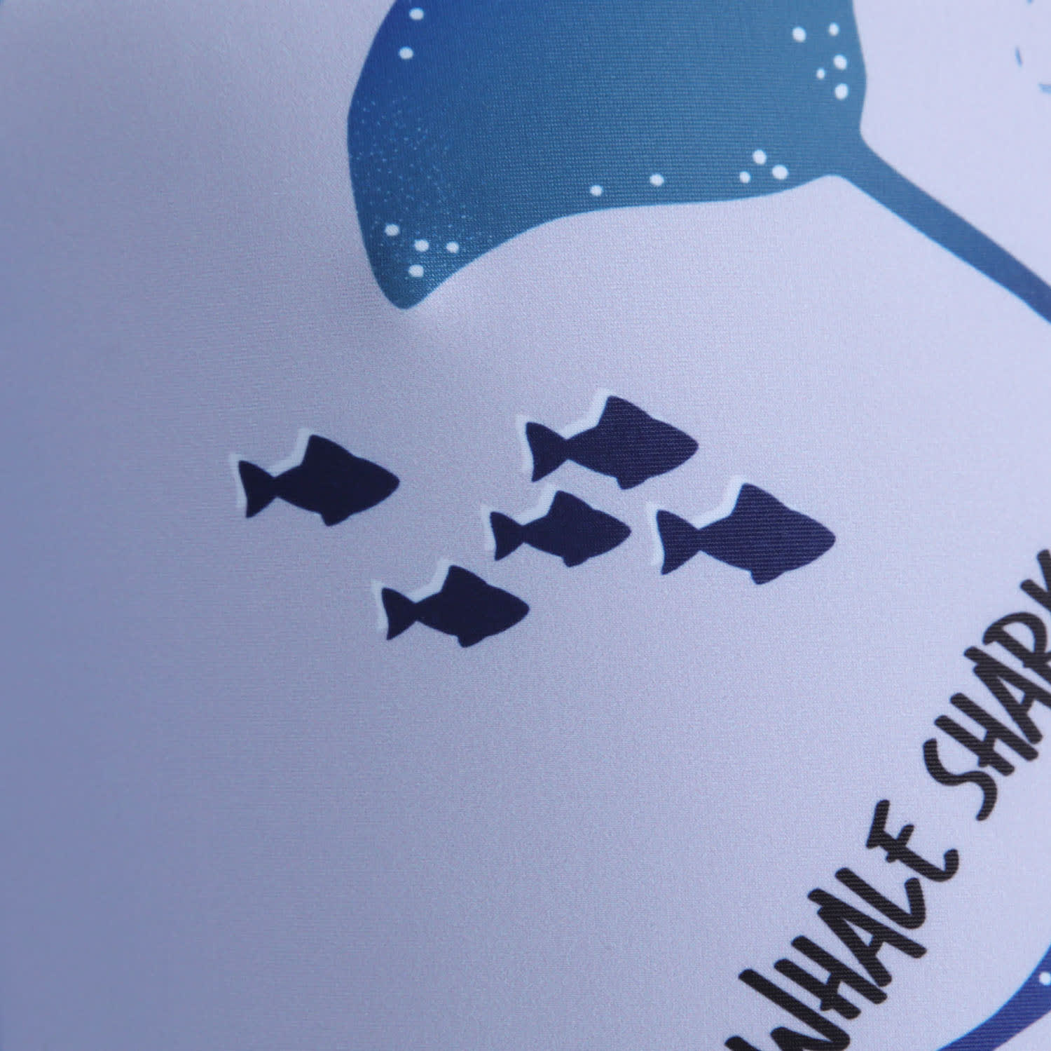 Boys Sea Life LS Rashvest Set, product, variation 4