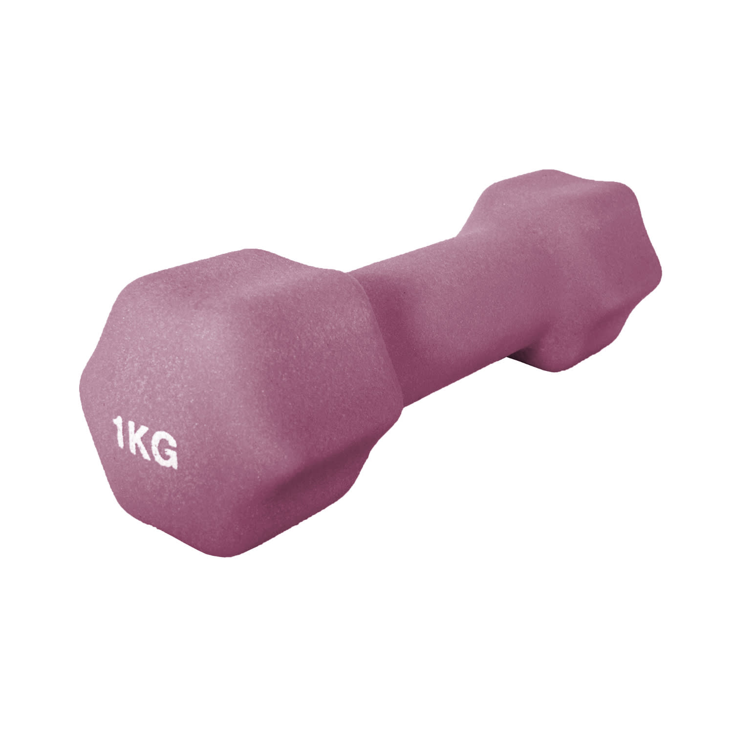 OTG 1KG Dipping Dumbbell