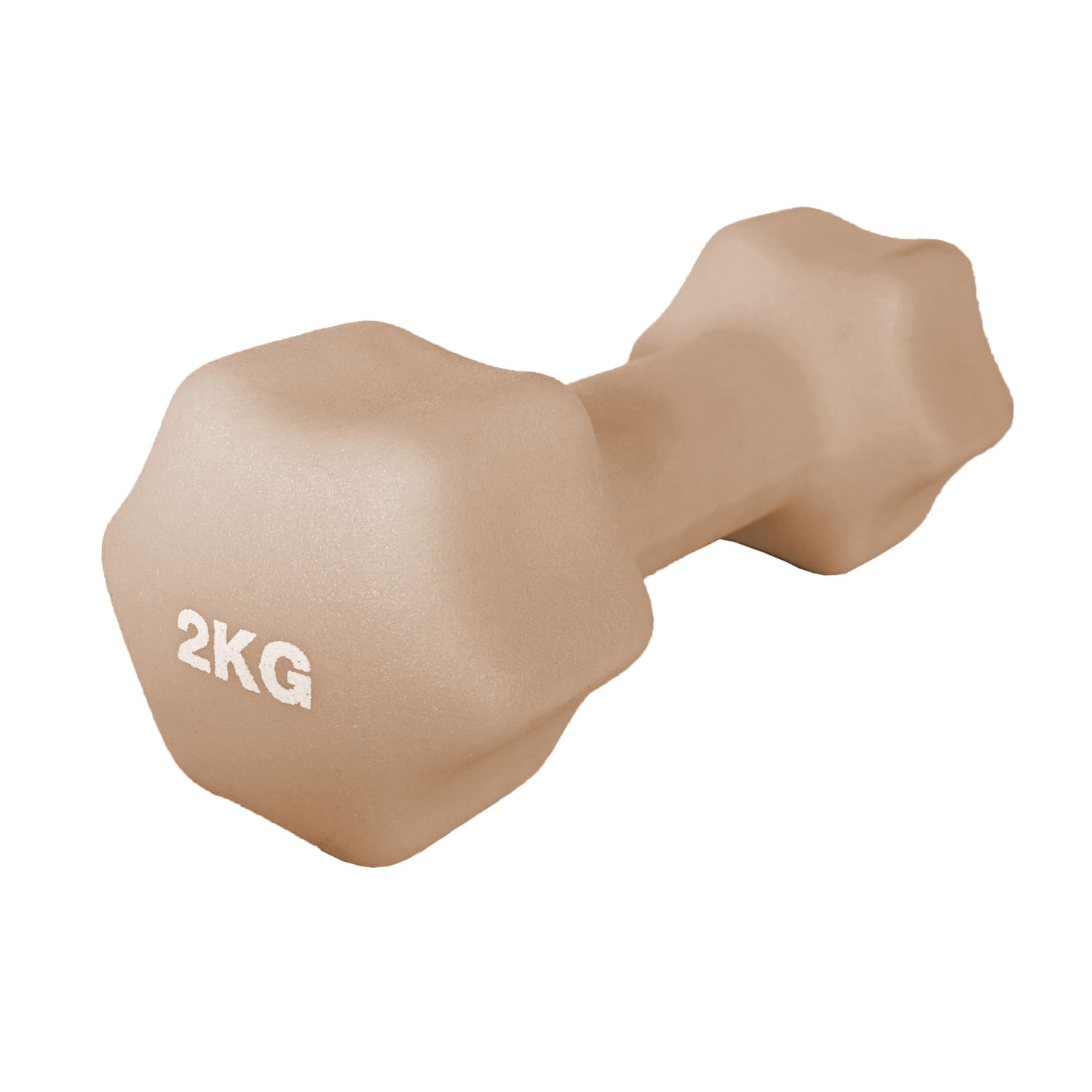 OTG 2KG Dipping Dumbbell