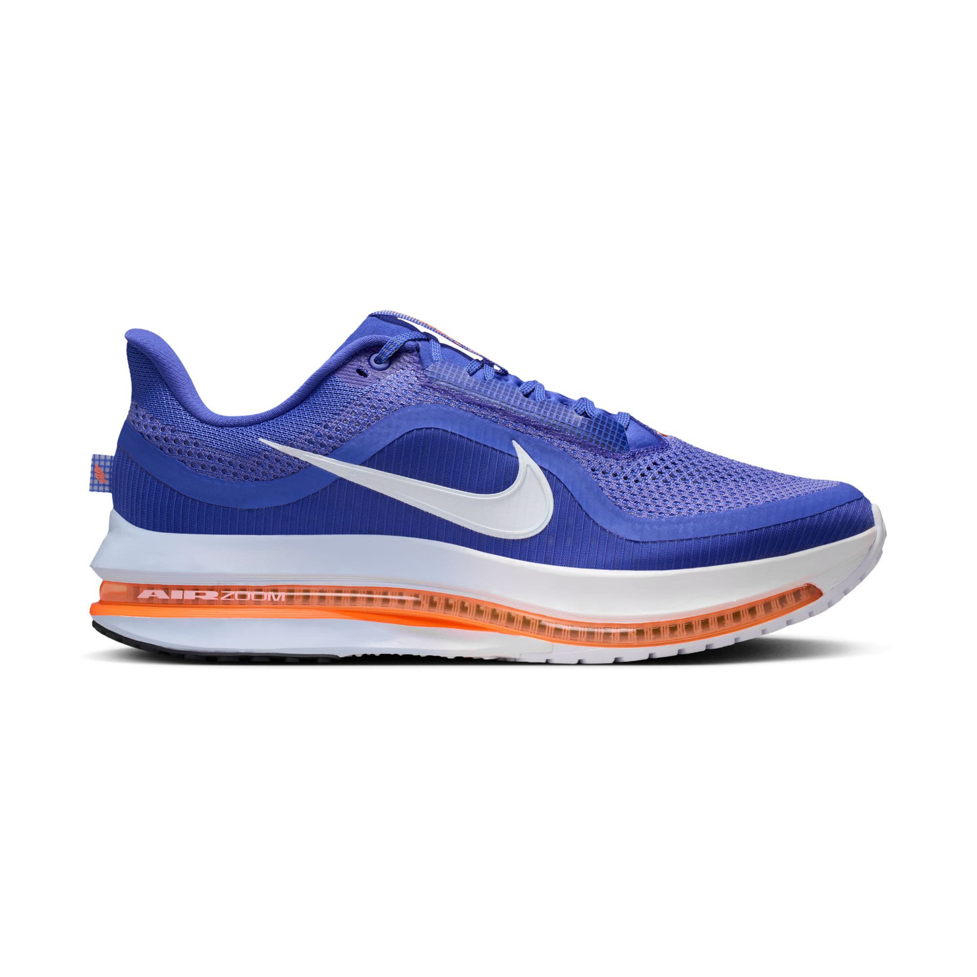 Nike Men's Pegasus Premium Road Running Shoes