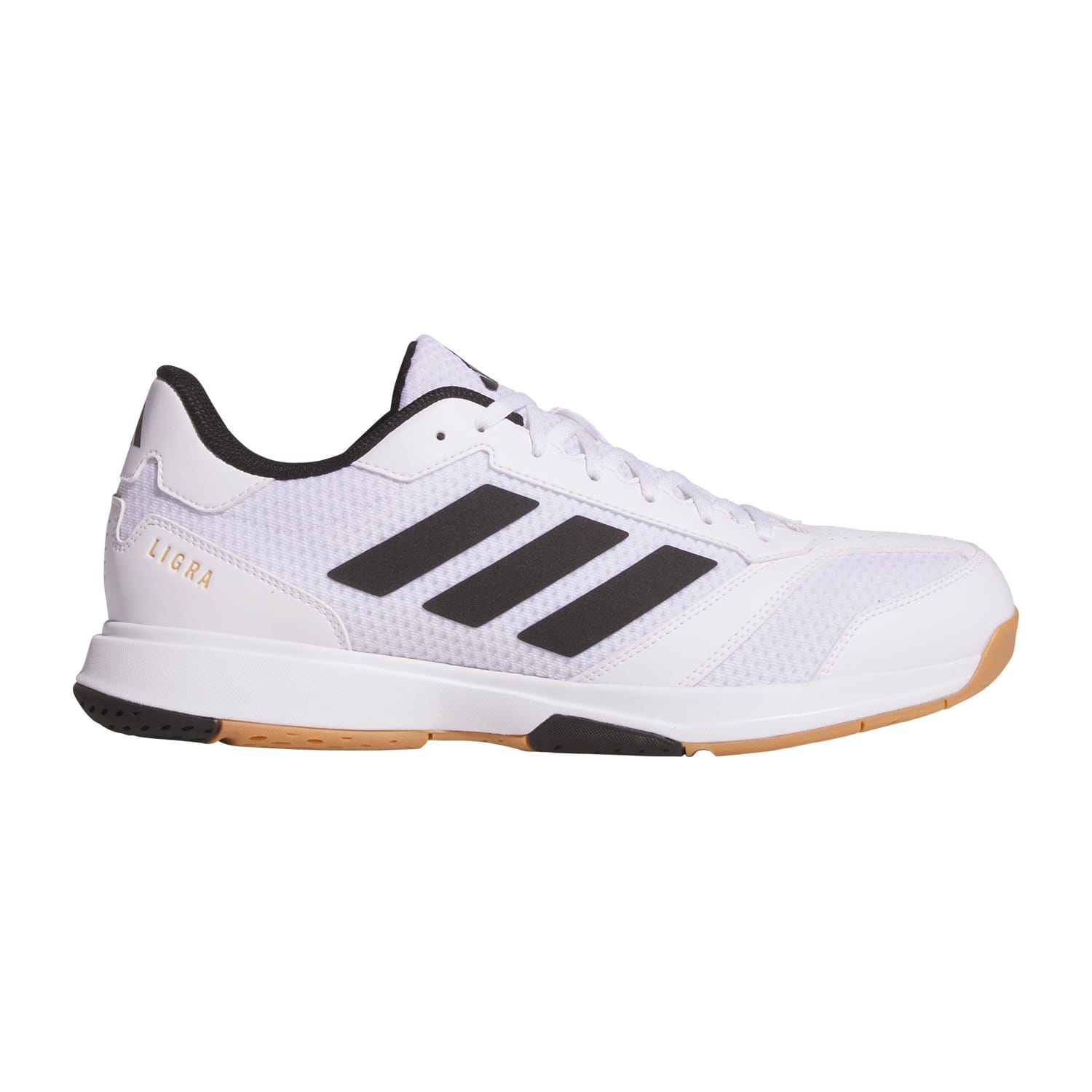 adidas Men's Ligra Squash Shoes