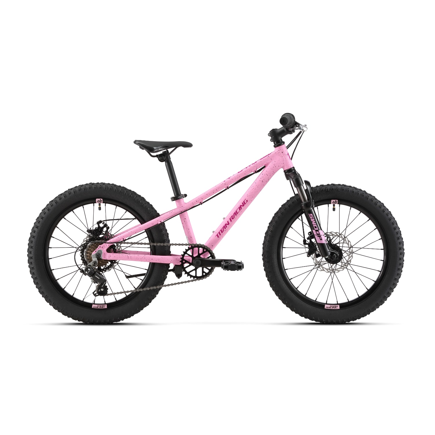 Titan Player 20 Mountain Bike