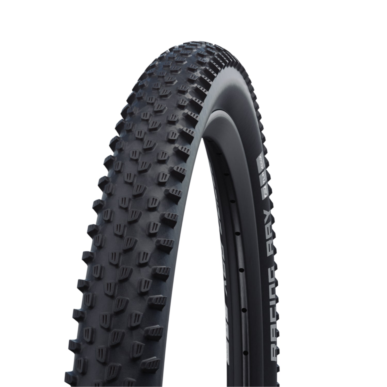 Schwalbe Racing Ray Performance 29 x 2.35 MTB Tyre