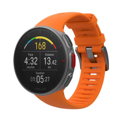 Polar Vantage V