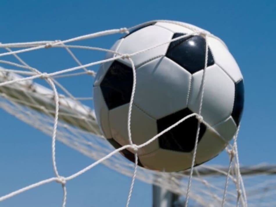 Soccer Net Set Sportsmans Warehouse