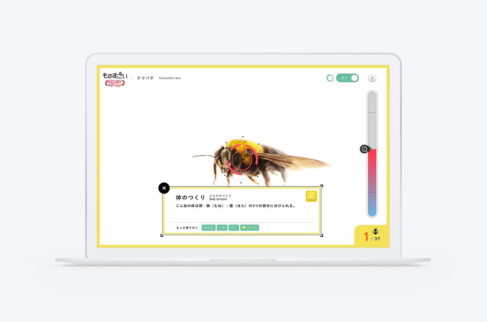 ものすごい図鑑 Teamlab Inc Moreworks
