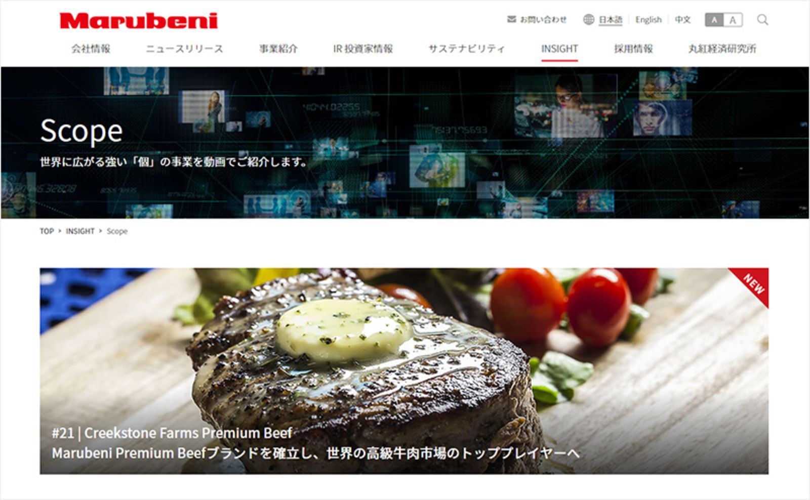 世界で活躍する歴史ある総合商社のコーポレートサイトリニューアル Gp Online Co Ltd Moreworks