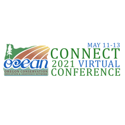 The logo of CONNECT 2021 Virtual Conference