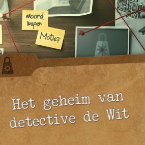 Het Geheim Van Detective De Wit [The Secret Of Detective De Wit]