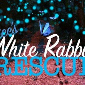 Alice's White Rabbit Rescue