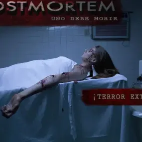 Postmortem