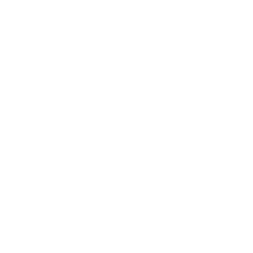 The Palace Of Destiny