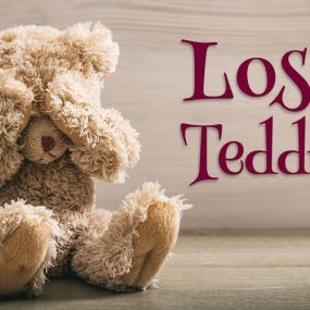 Lost Teddy