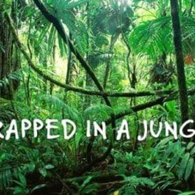 Trapped in a Jungle