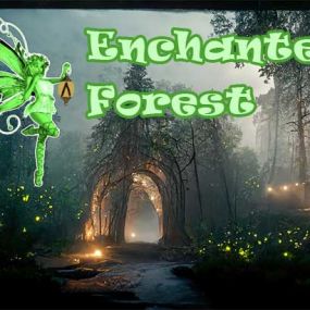 Enchanted Forest