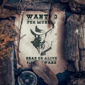 Wanted: Dead or Alive