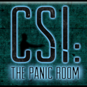 Csi: The Panic Room