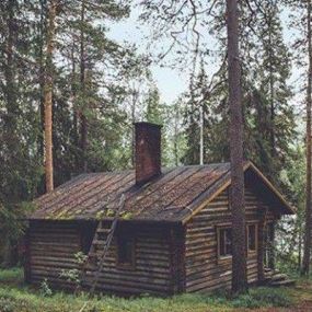 Cabin In The Woods