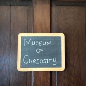 The Museum Of Curiosity