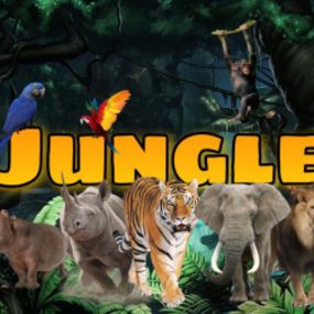 La Jungle [Jungle]