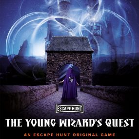 The Young Wizard's Quest