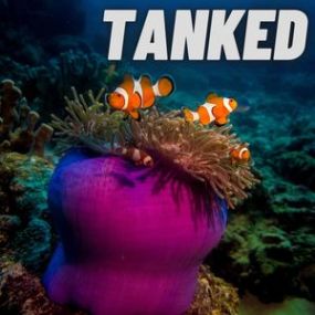 Tanked