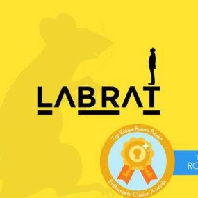 Lab Rat