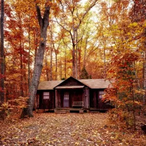 Psycho Murder Cabin