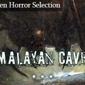 Himalayan Cavern
