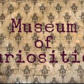 Museum Of Curiosities