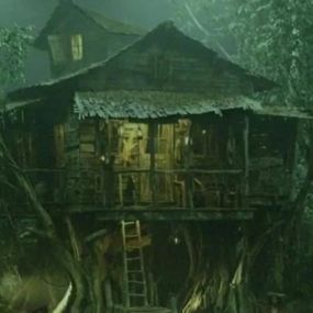 The Cabin