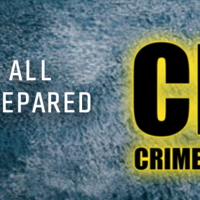 Crisys - Crime Investigation System