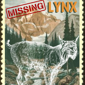 Colorado’s Missing Lynx