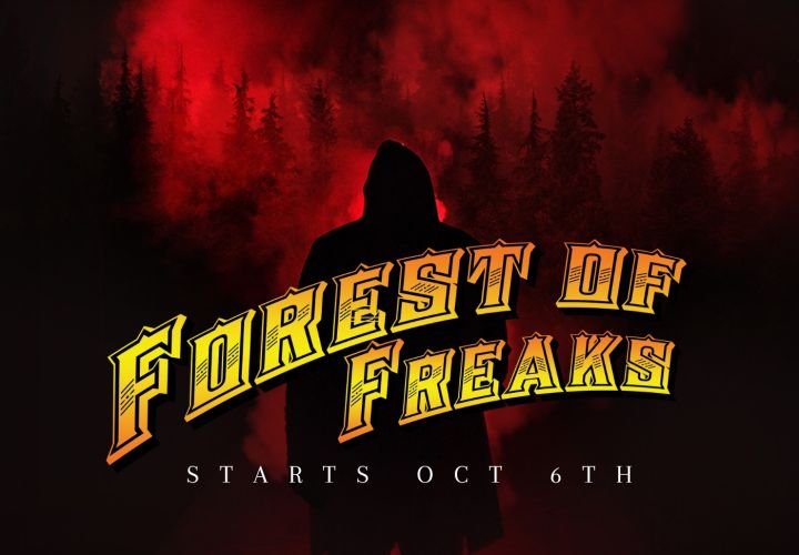 Main image for Forest of Freaks