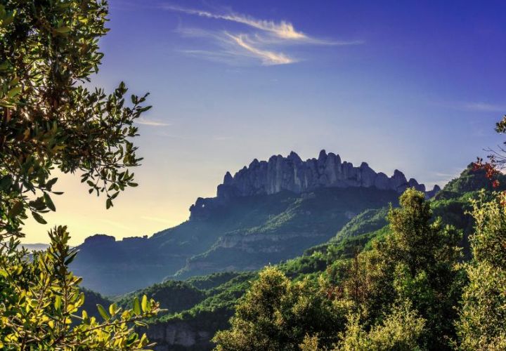 Main image for VisitEscape Montserrat