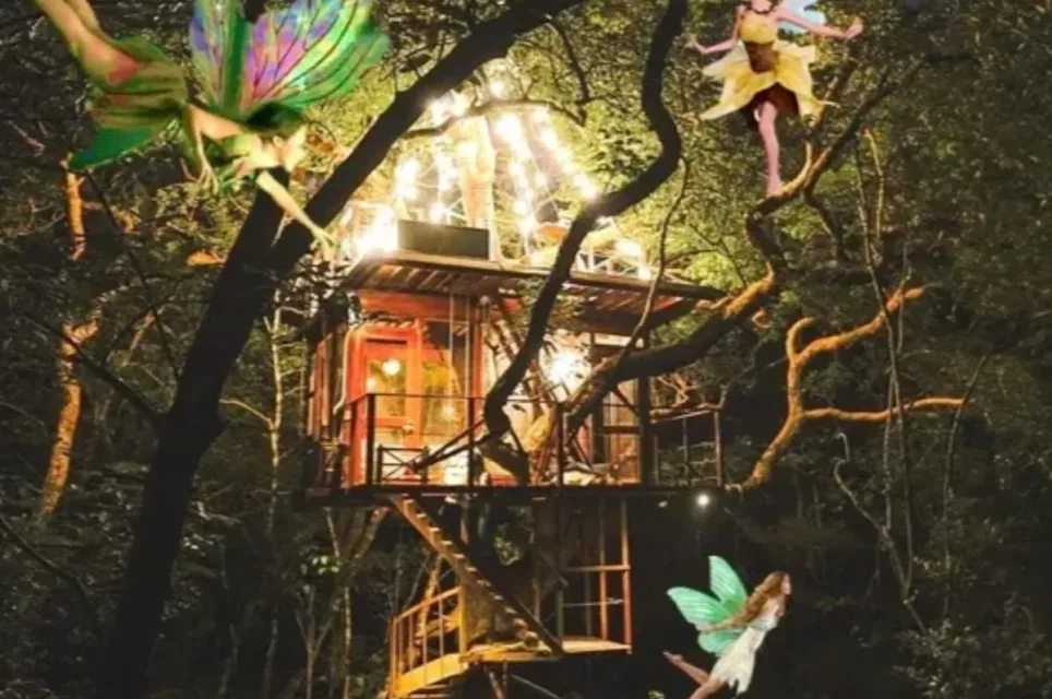 The Treehouse