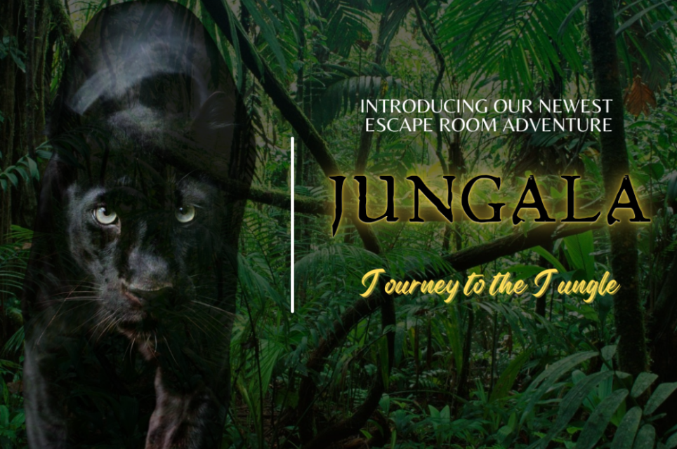 Jungala Journey to the Jungle