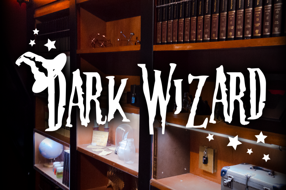 The Dark Wizard