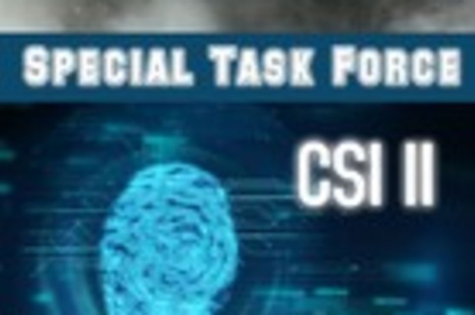 Special Task Force CSI II