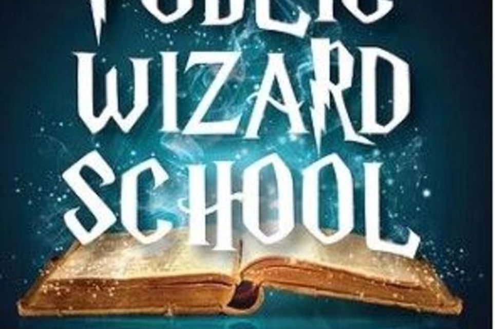 Public Wizard School