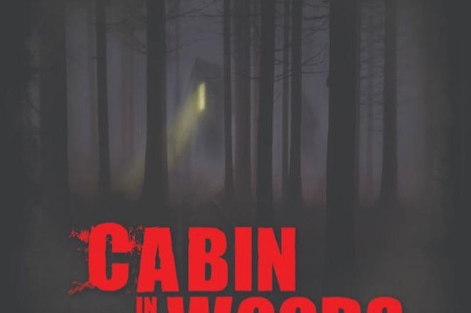 Cabin In The Woods