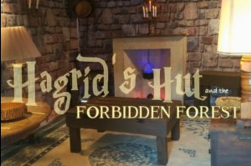 Hagrid's Hut And The Forbidden Forest