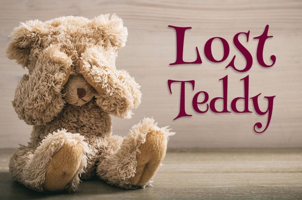 Lost Teddy