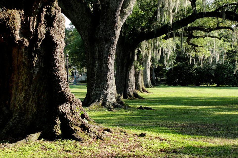 New Orleans: City Park Adventure [Outdoor]