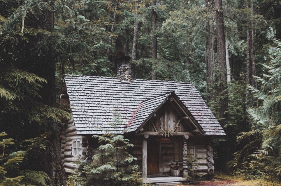 Cabin in the Woods