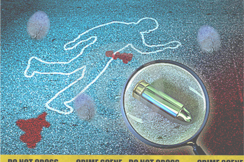 CSI Murder Mystery