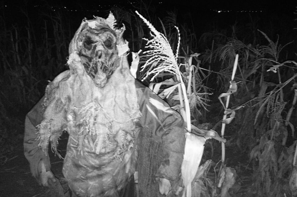 Corn Creepers Haunted Attraction