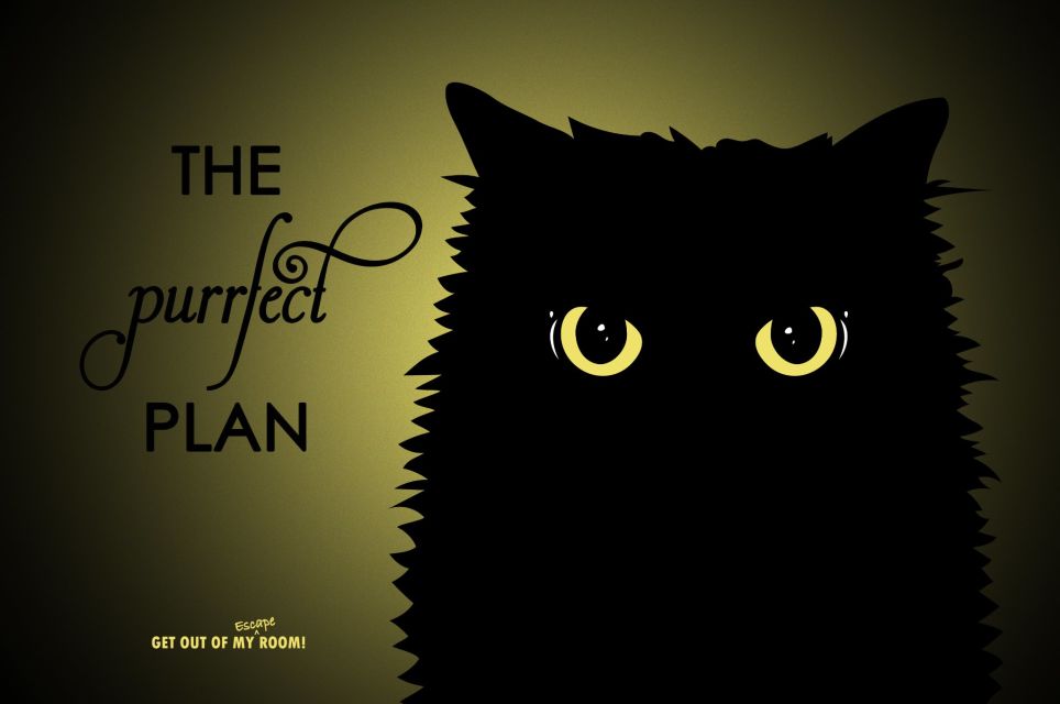 The Purrfect Plan