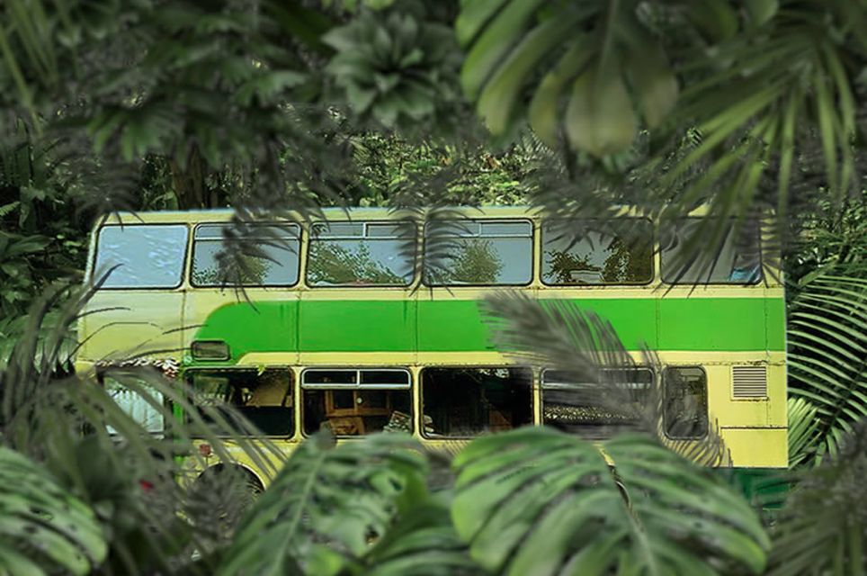 Jungle Bus