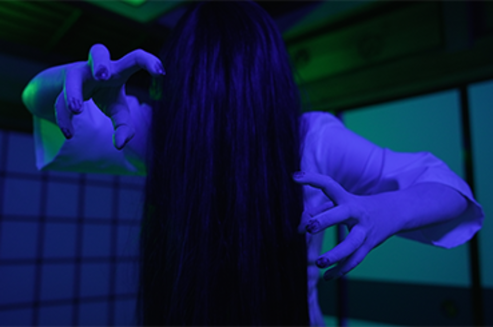 Sadako and the Cursed Video